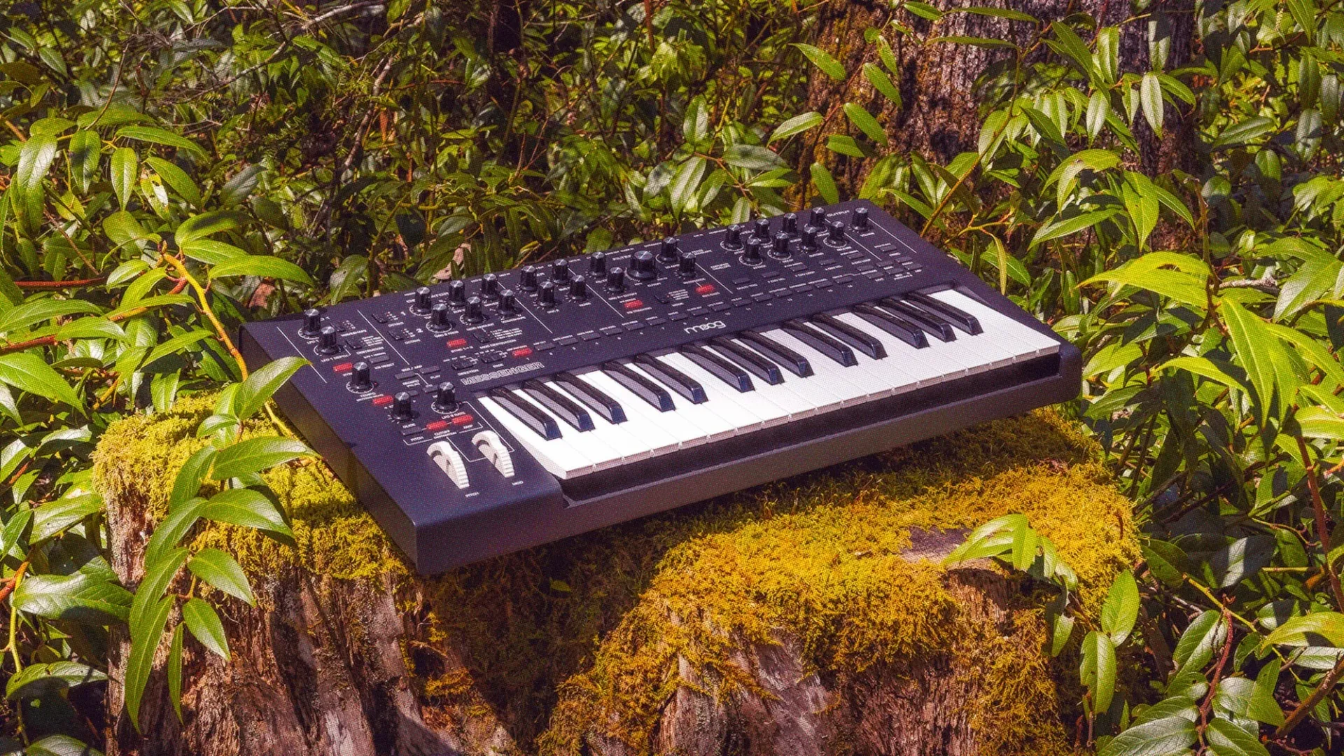 Moog Messenger アナログシンセサイザー Moog Messenger実機レビュー！価格も音も“ちょうどいい”アナログ