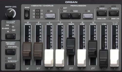 E5-OrganSection-504x300