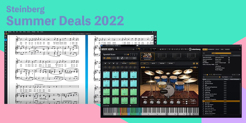 Steinberg スタインバーグ Summer Sale 2022 キャンペーン