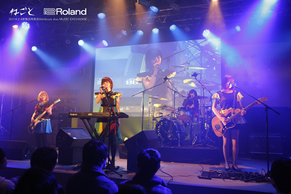 roland2014presentation29