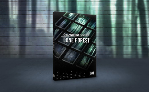 LONE FOREST_mini