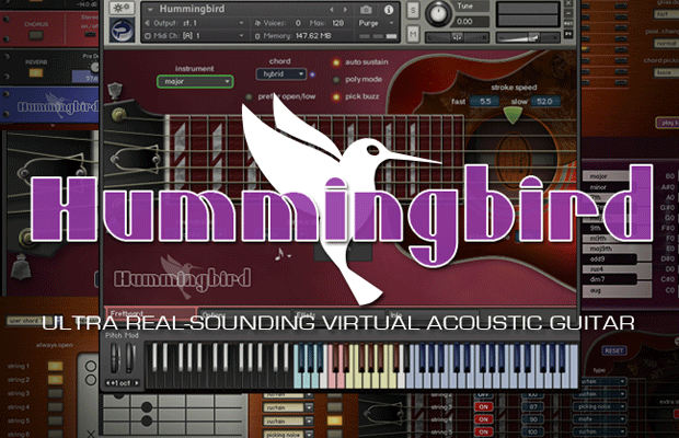 アコースティック・ギター音源 Hummingbird 発売前予約キャンペーン！