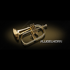 VIENNA FLUGELHORN_mini