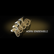 VIENNA HORN ENSEMBLE_mini