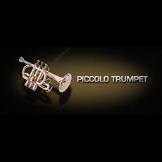 VIENNA PICCOLO TRUMPET_mini