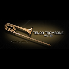 VIENNA TENOR TROMBONE MUTED_mini