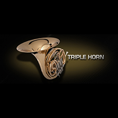 VIENNA TRIPLE HORN_mini