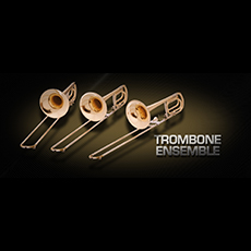 VIENNA TROMBONE ENSEMBLE_mini