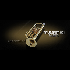 VIENNA TRUMPET (C) MUTED_mini
