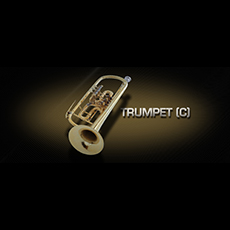 VIENNA TRUMPET (C)_mini
