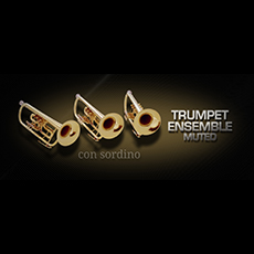 VIENNA TRUMPET ENSEMBLE MUTED_mini
