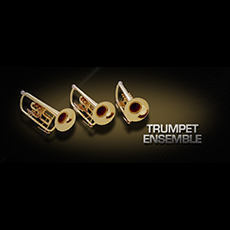 VIENNA TRUMPET ENSEMBLE_mini