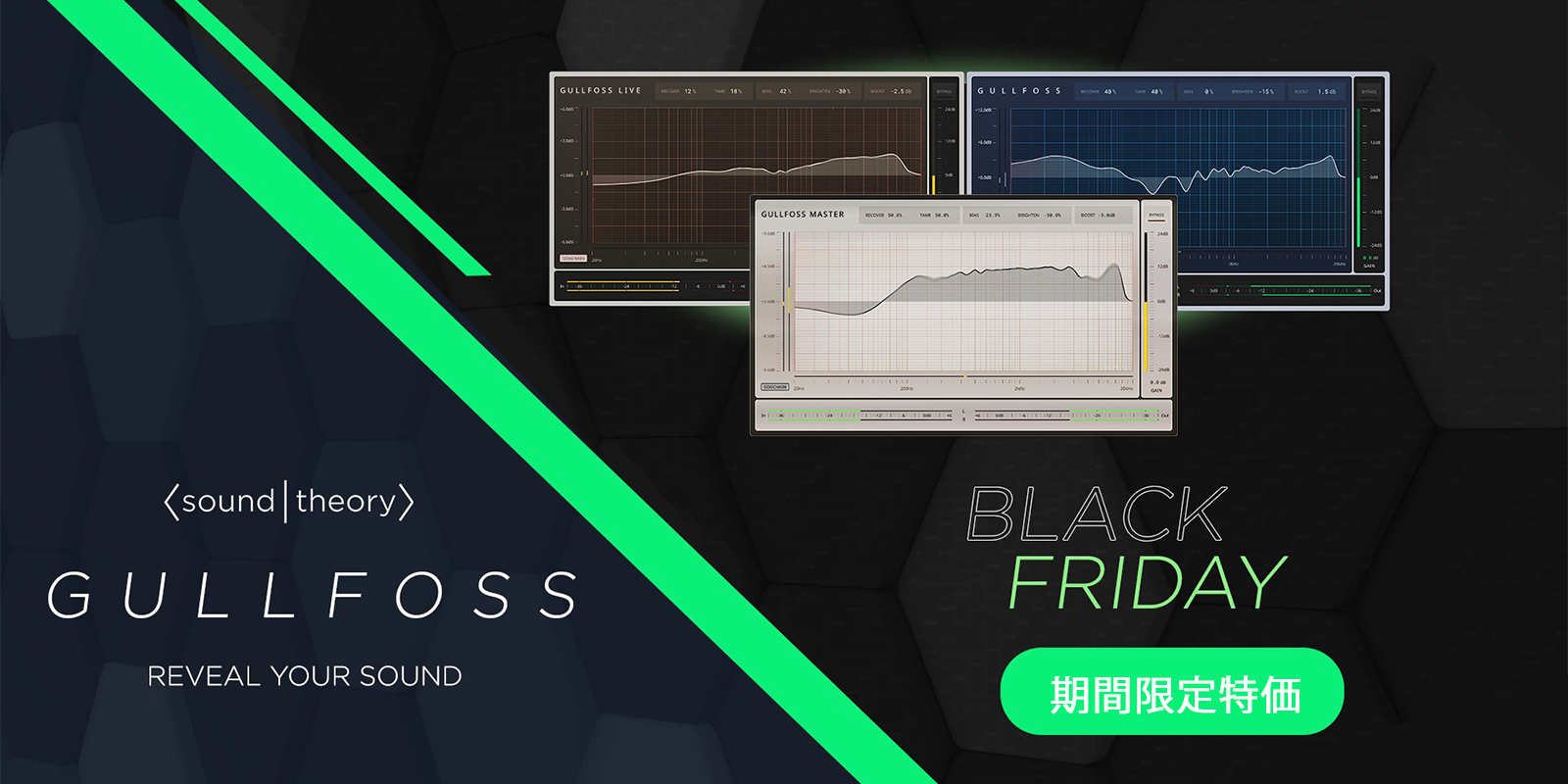 【ブラックフライデーセール 2022】Soundtheory GULLFOSS 36%OFF セール！