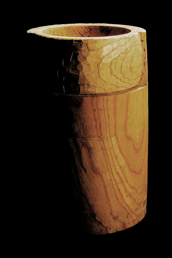 zelkova_tree