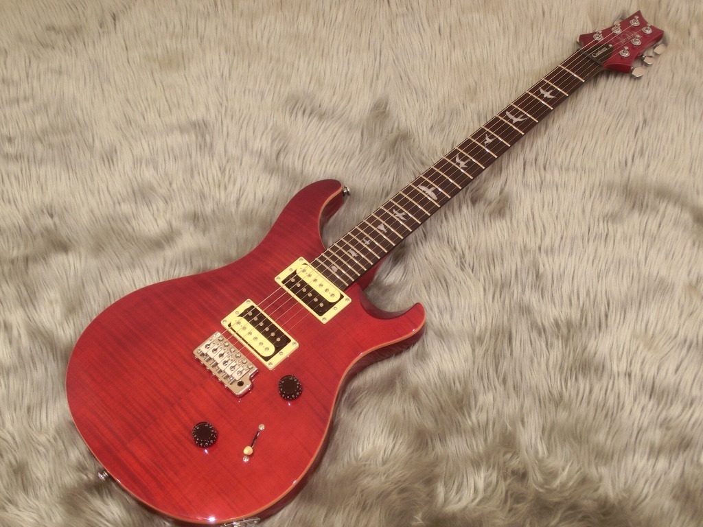 送料込み】PRS SE カスタム24 コイルタップ改！ PRSを代表するモデル