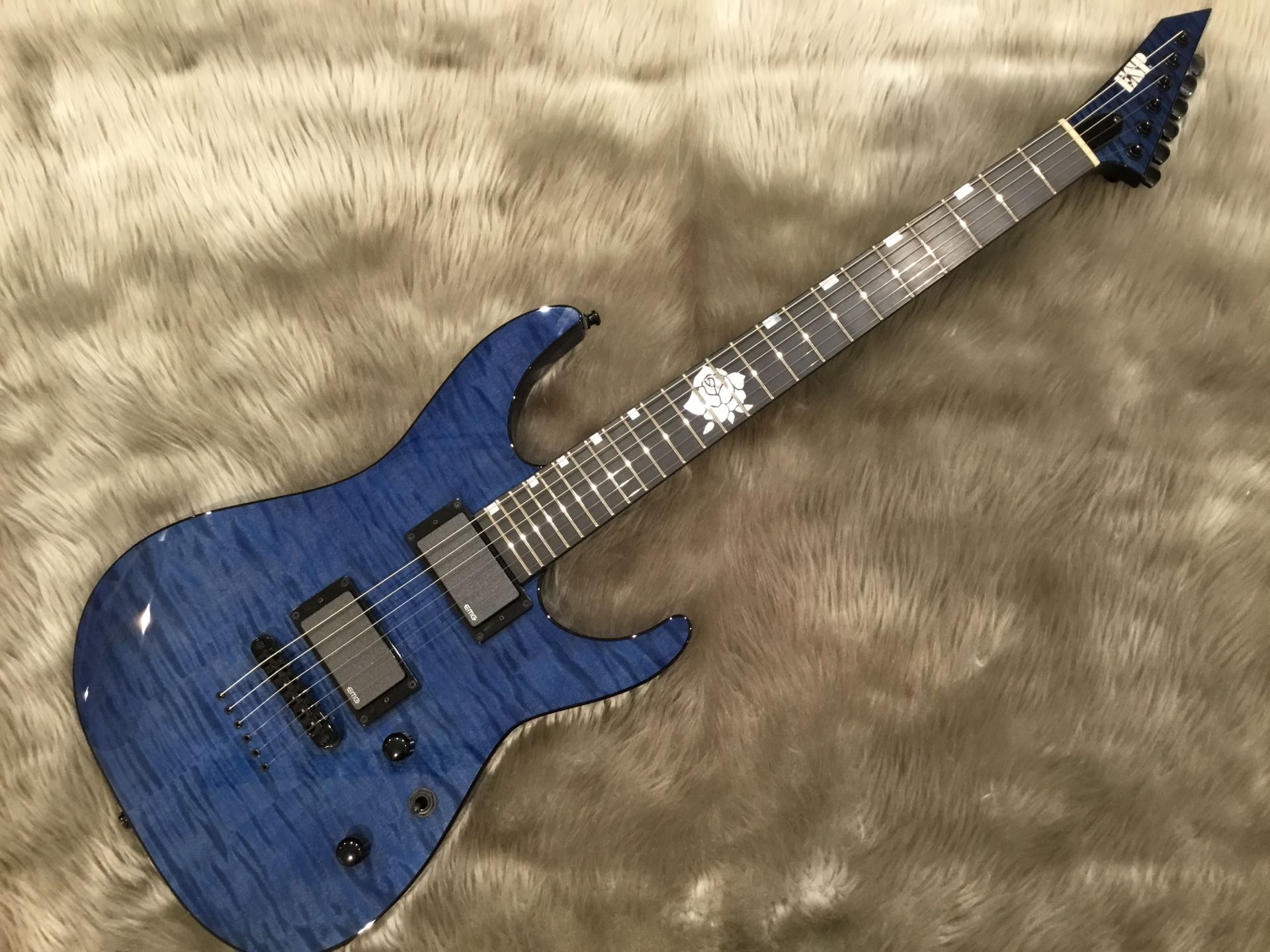 ESP (Guitar) ギタセレ（Guitar Selection）