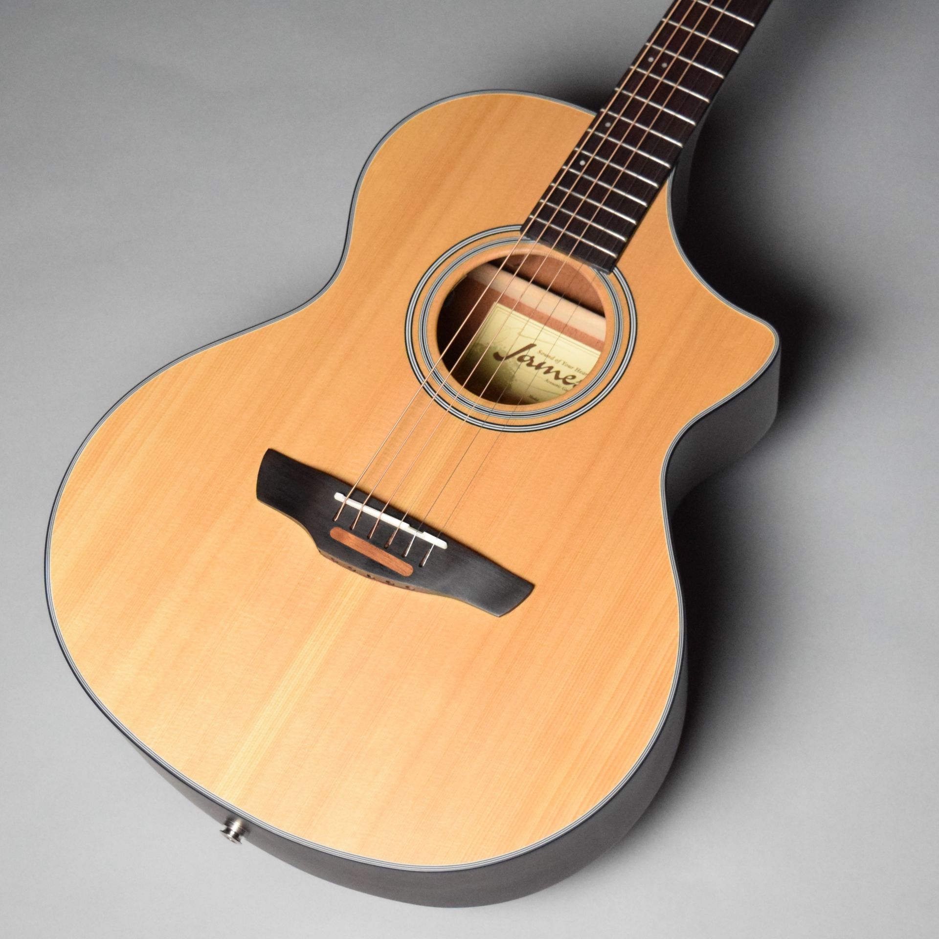 JAC/DM James (Acoustic) ギタセレ（Guitar Selection）