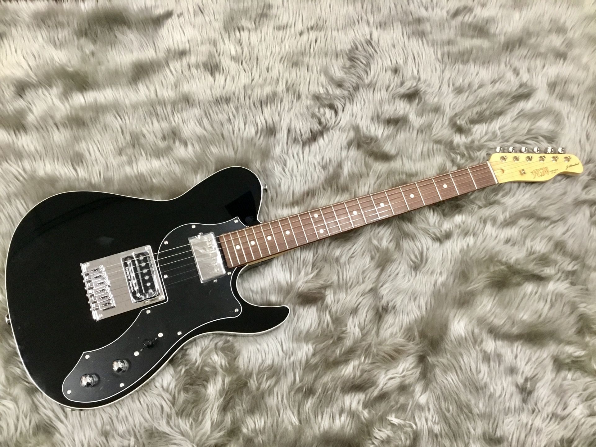 FgN(FUJIGEN) (Guitar) JIL-AL-G-HH