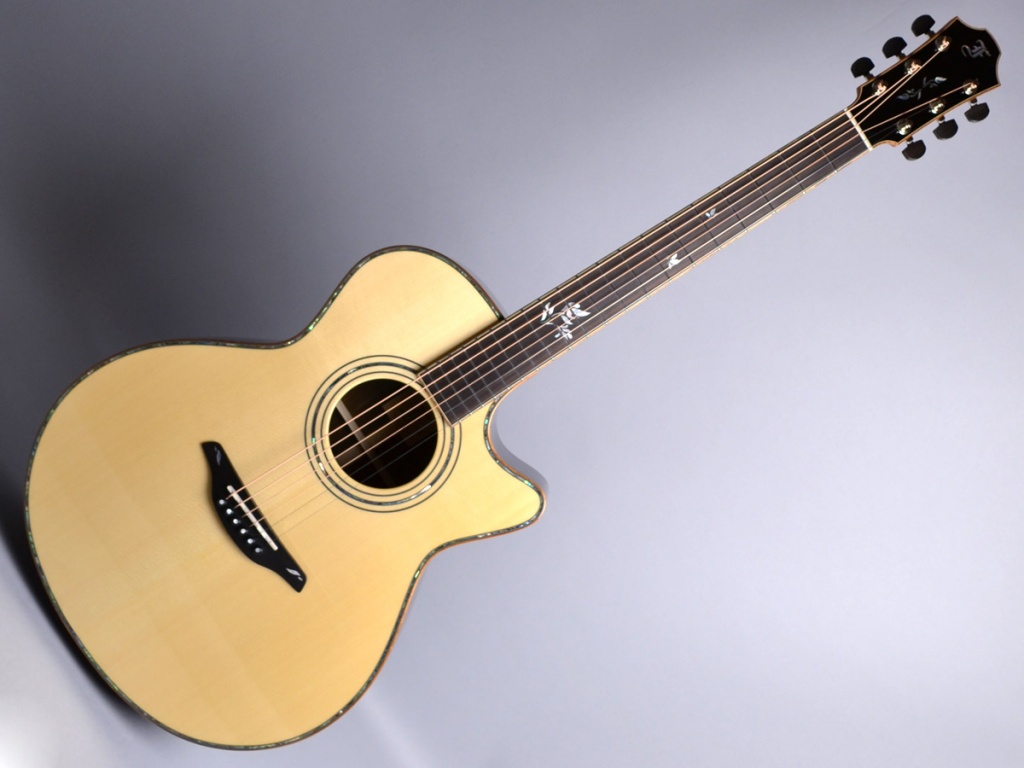 Furch (Acoustic) G25-SCCTe