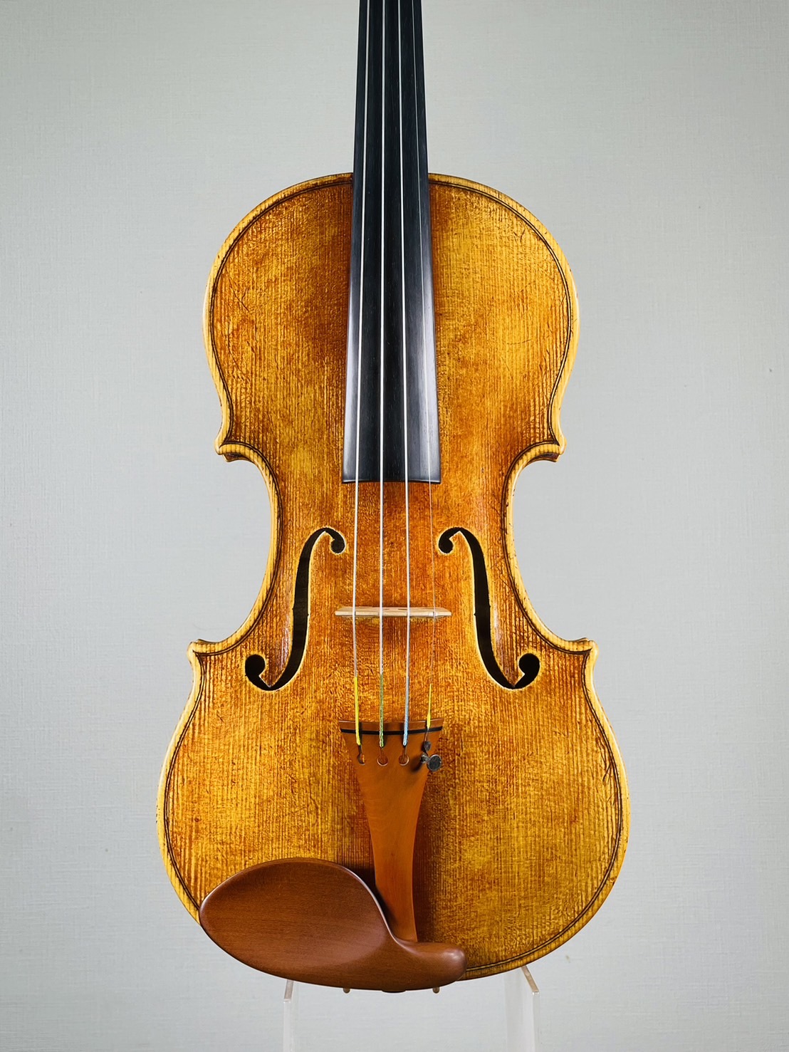 Sebastian Schade, Germany - Halle/Saale, 2020 - 弦楽器