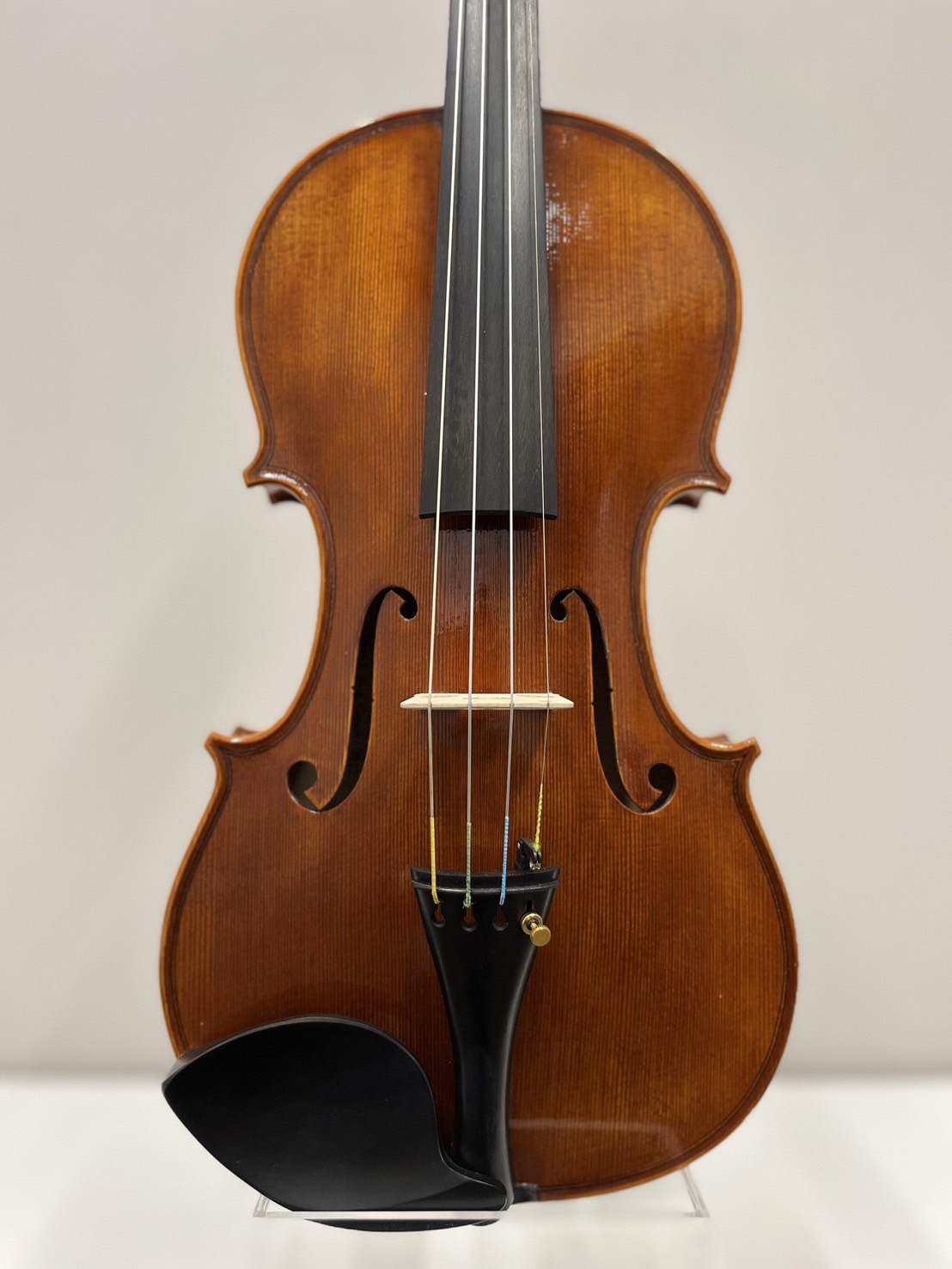 Edgar E.Russ, Italy/Germany, 2022 - 弦楽器コンシェルジュ | 島村楽器
