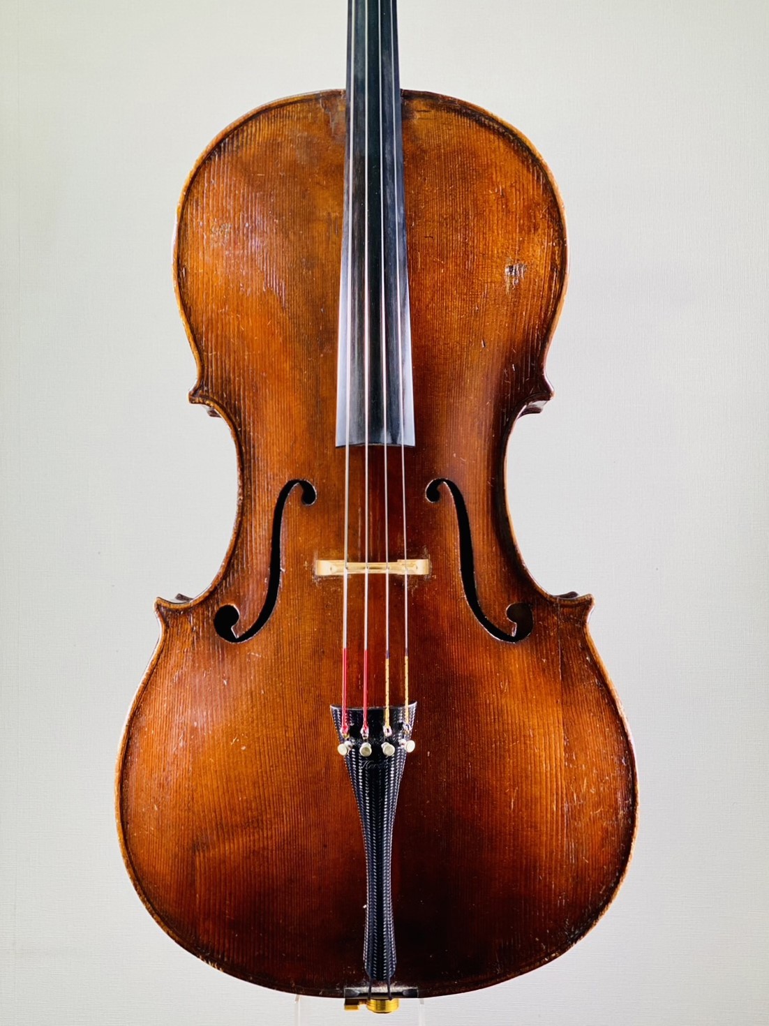 弦楽器 kikuchi 1718947576681.jpg