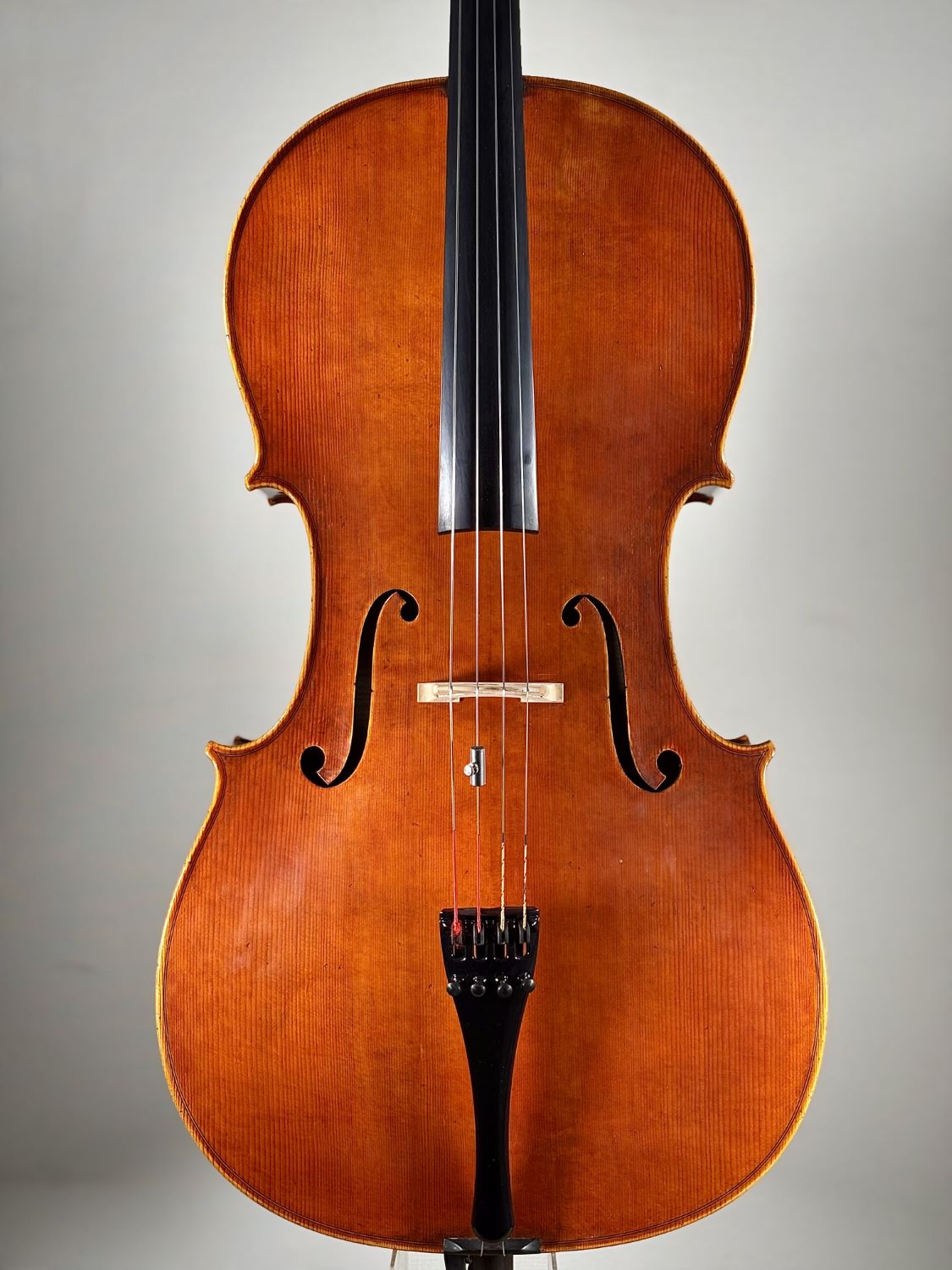 Laboratorio Marcello Bellei, Italy - Modena, 2024 - 弦楽器