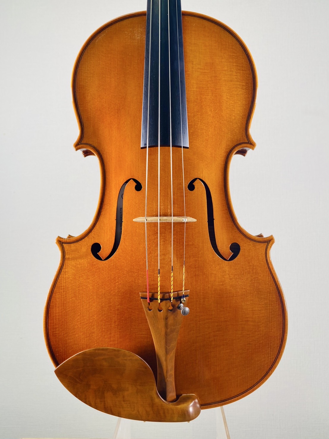Viola＞ Teppei Fujita, Japan - Toyo, 2025 - 弦楽器