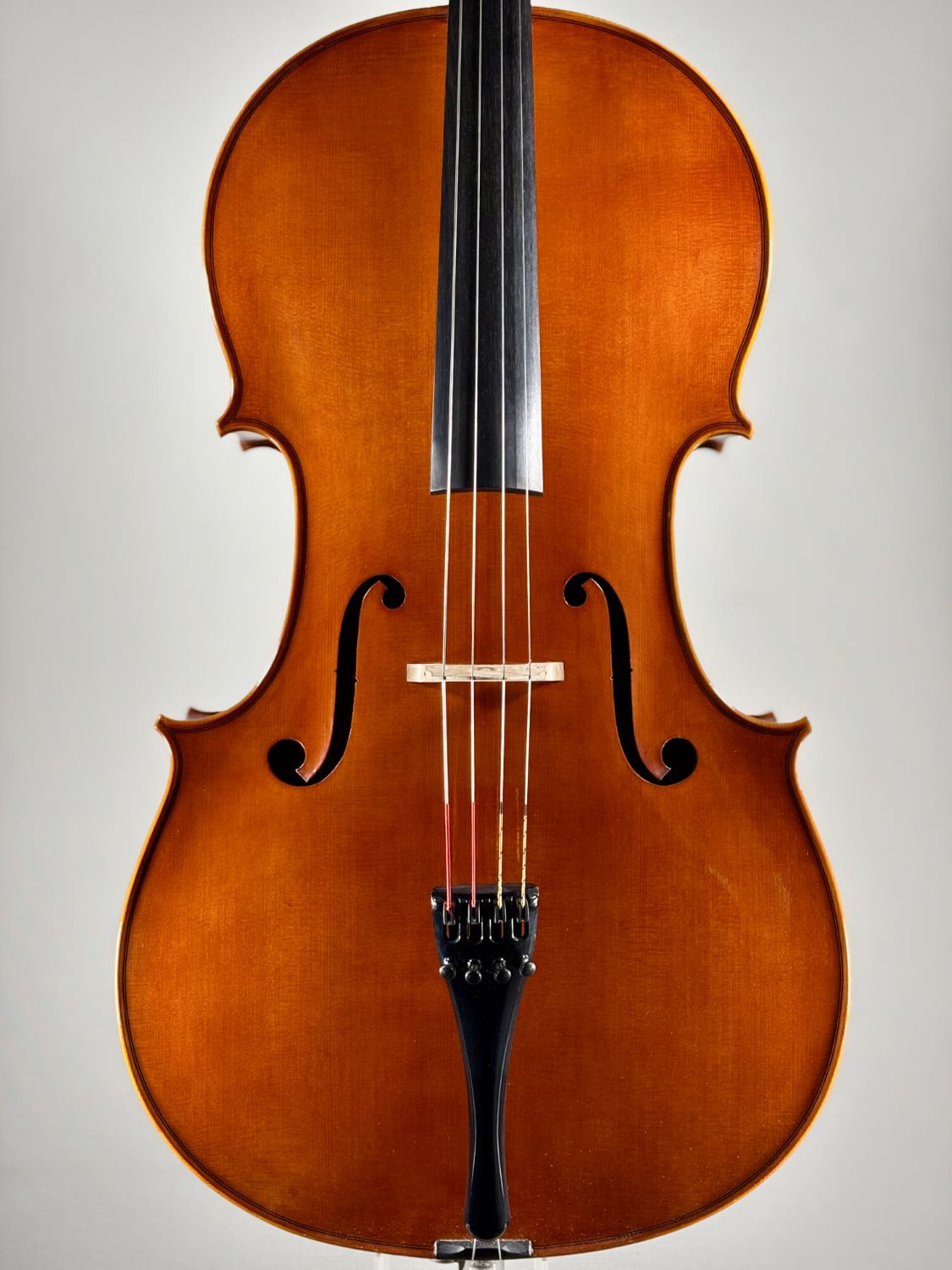 Adriano Spadoni, Italy - Cremona, 2023 - 弦楽器コンシェルジュ