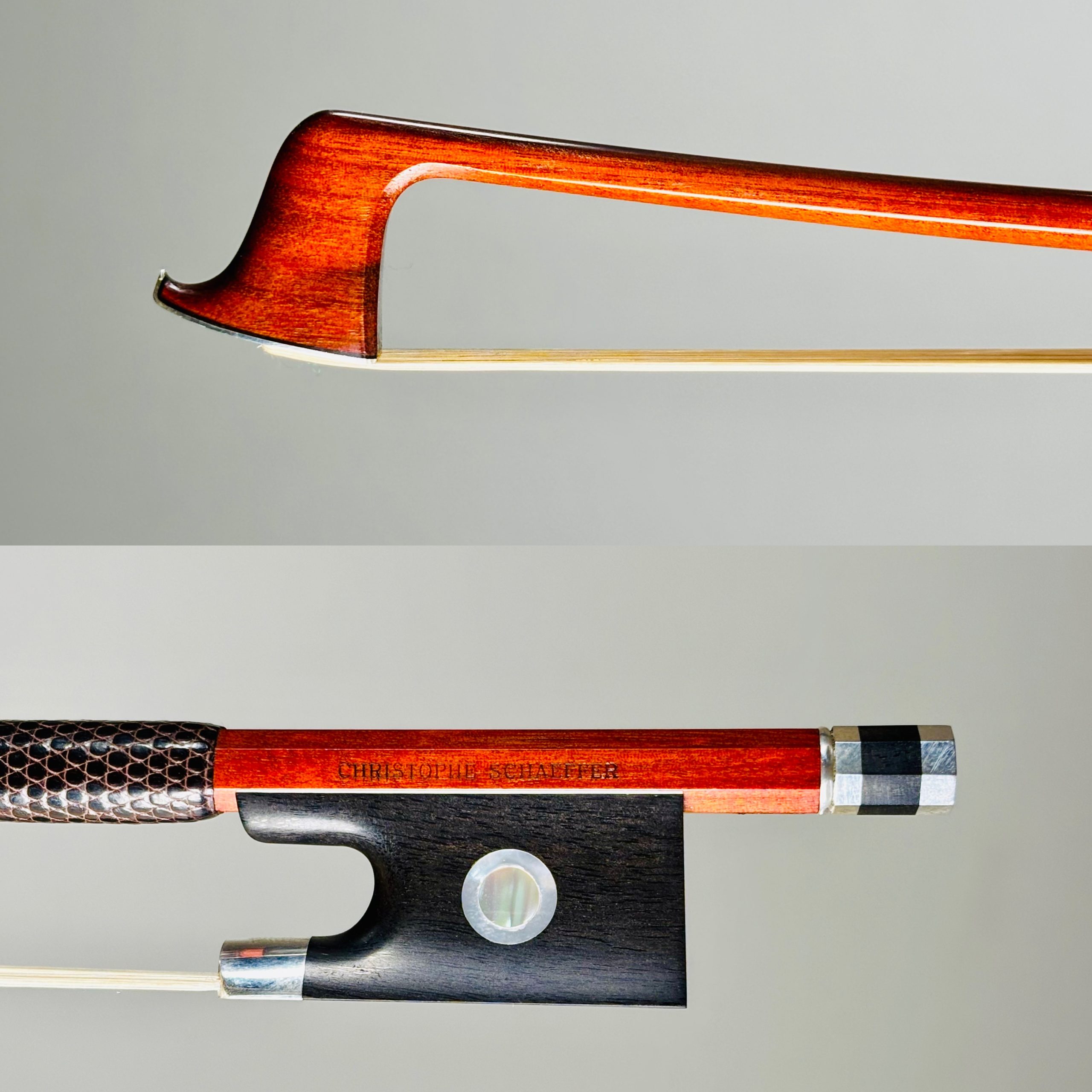 Christophe Schaeffer, France – Avignon, 2025 - 弦楽器