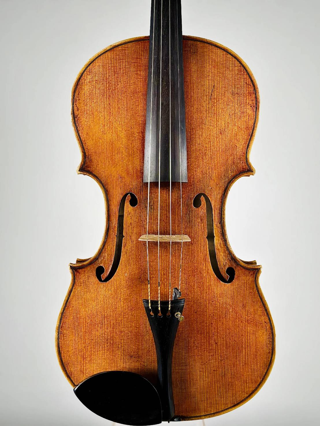 Viola＞ Filippo Fasser, Italy – Brescia, 2025, Model; Model