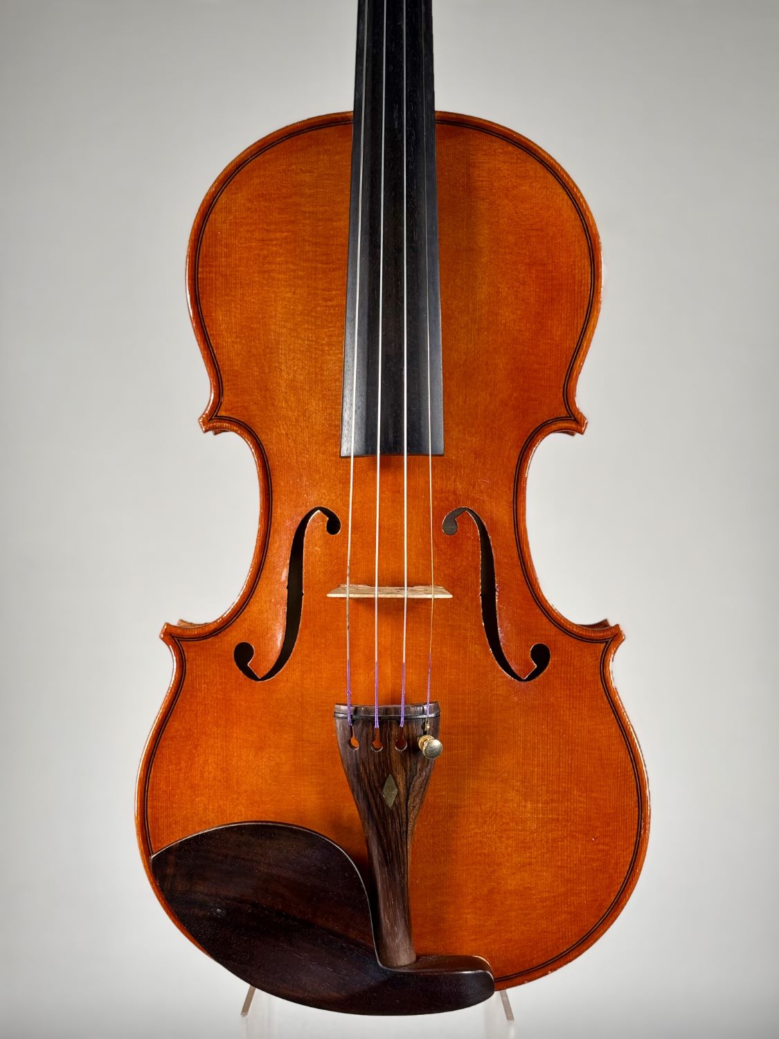 Otello Bignami School 