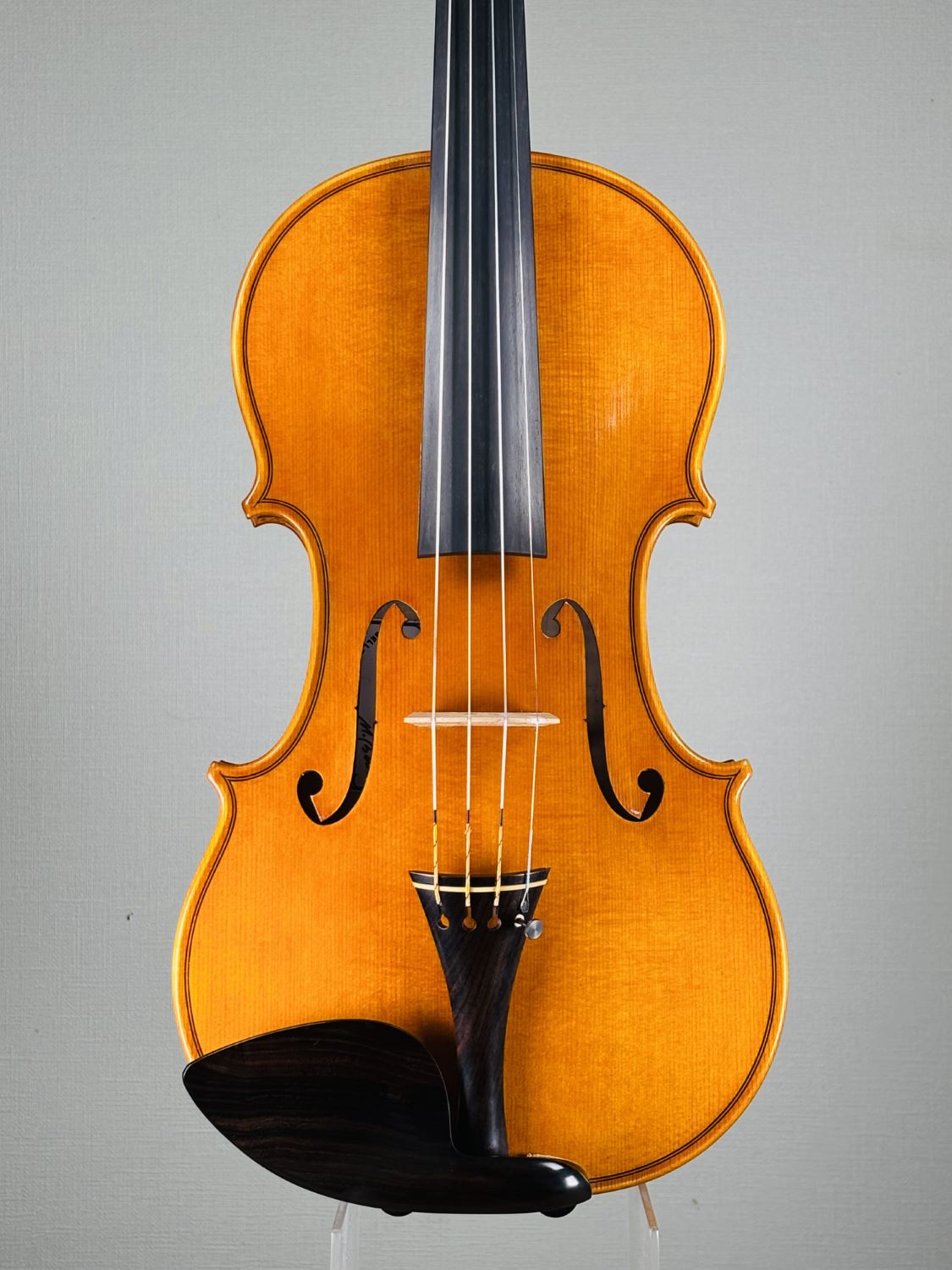 Marcello Bellei, Italy - Modena, 2025 - 弦楽器コンシェルジュ