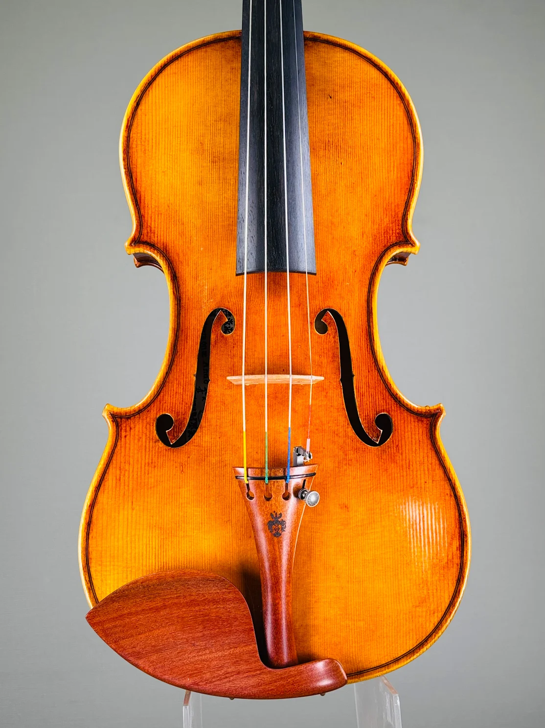 Andrea Schudtz, Cremona- Italy, 2025 - 弦楽器コンシェルジュ | 島村楽器