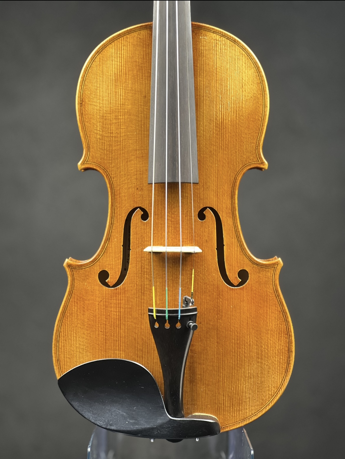 Stefan Rehms, Germany - Markneukirchen, 2019 - 弦楽器