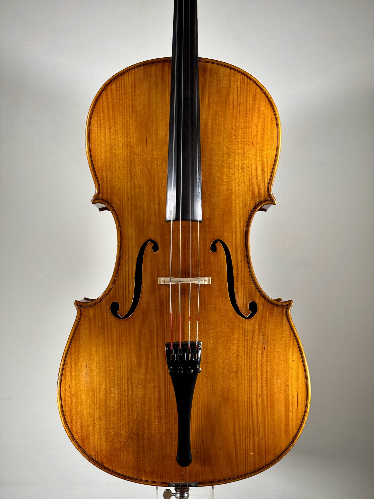 Modern German Violoncello, Label; Giuseppe Lucci, circa 1900