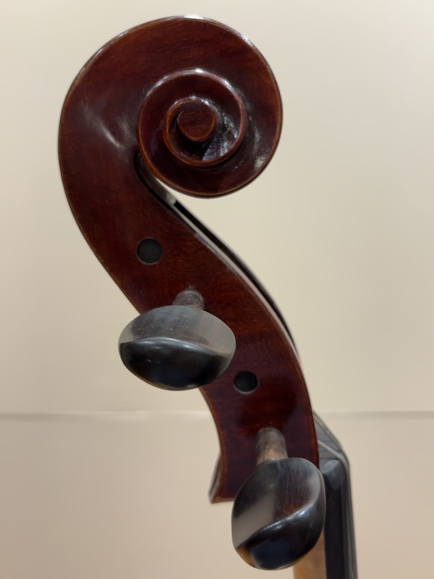 ≪Cello≫Eastman, Ivan Dunov VC401, Romania, 2023 - 弦楽器