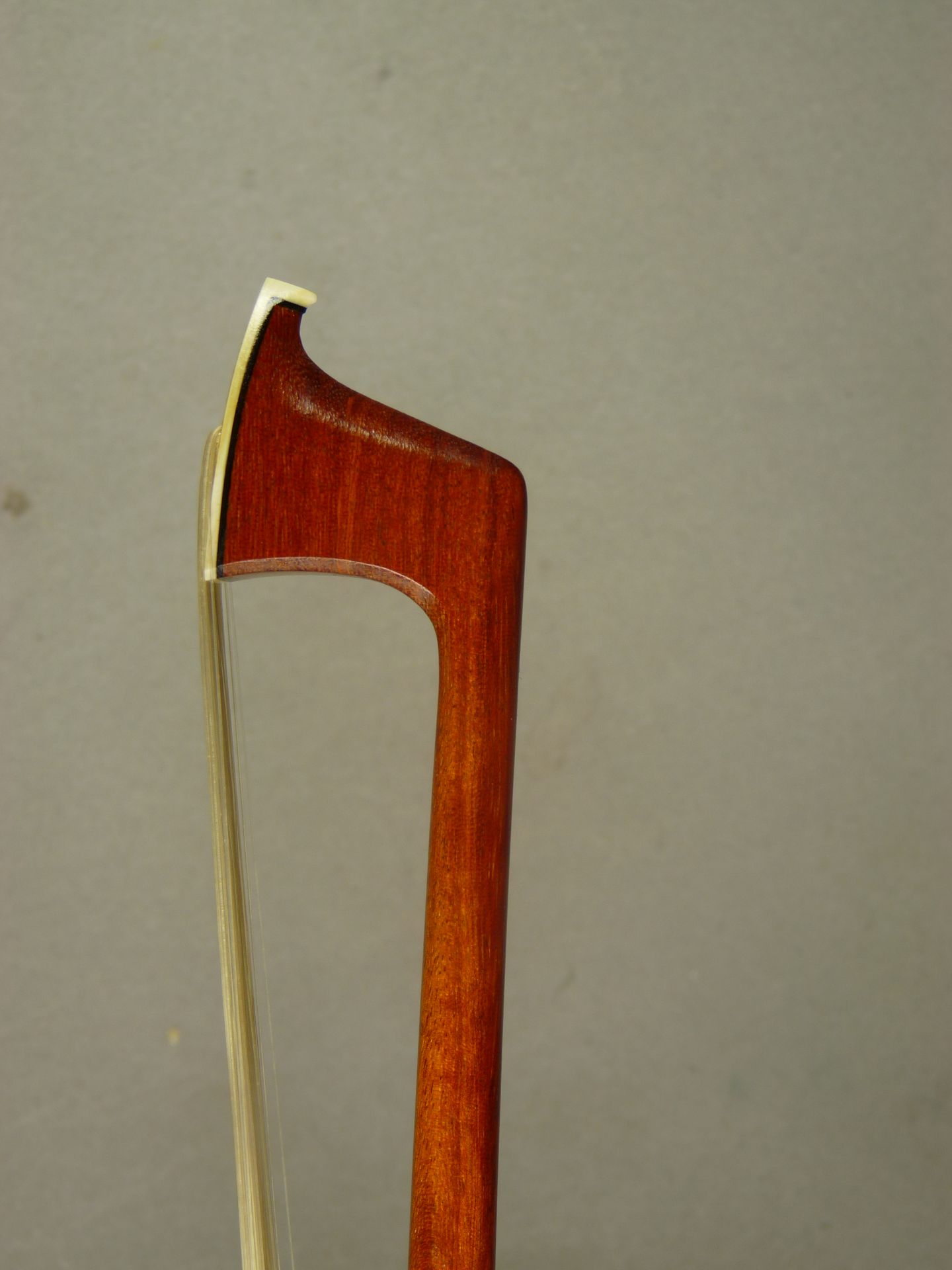 Gold violin catalog coupon