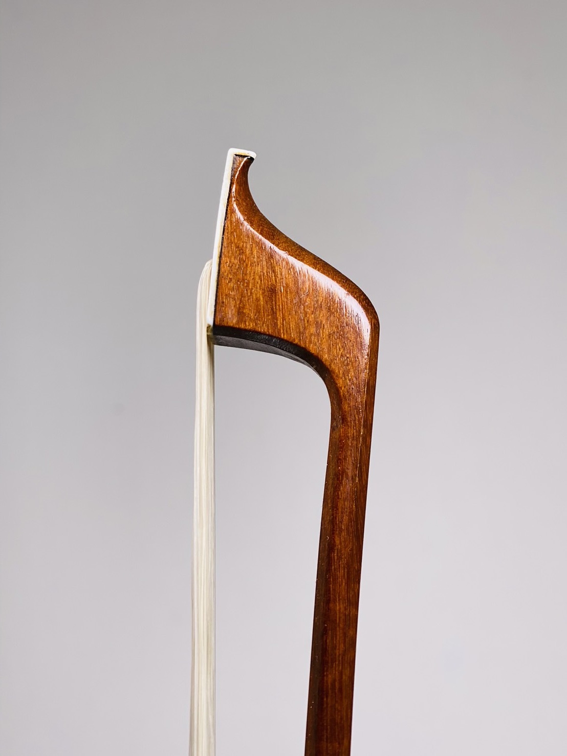 Roger Francois Lotte, France – Mirecourt, 1965 - 弦楽器
